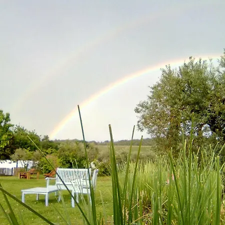 Camping Little Carpe Diem - Les Olivettes Camping