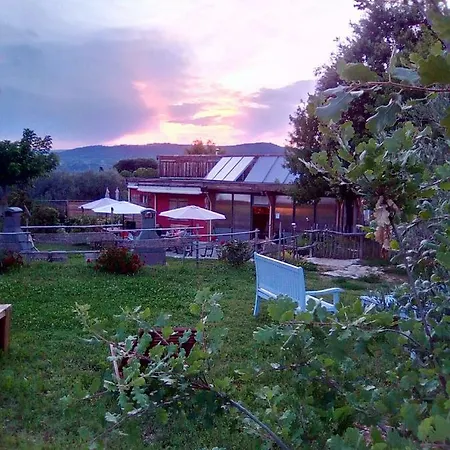 Camping Little Carpe Diem - Les Olivettes Les Mées