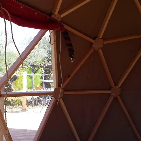 Camping Little Carpe Diem - Les Olivettes *