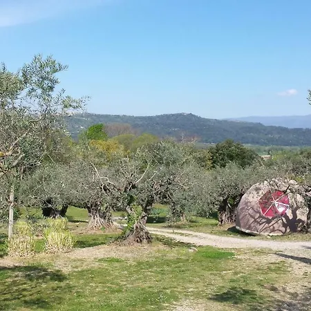 Camping Little Carpe Diem - Les Olivettes Les Mées