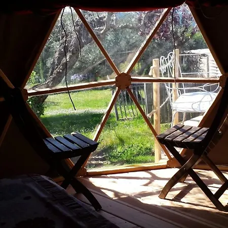 Camping Camping Little Carpe Diem - Les Olivettes Les Mées